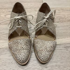 Loeffler Randal Shows